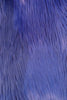 Royal Blue Fur