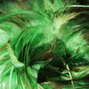 Green Saddle Hackle