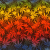 Rainbow Marijuana Leggings