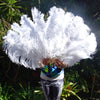 White Ostrich Feather Fans