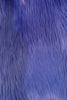 Royal Blue Fur
