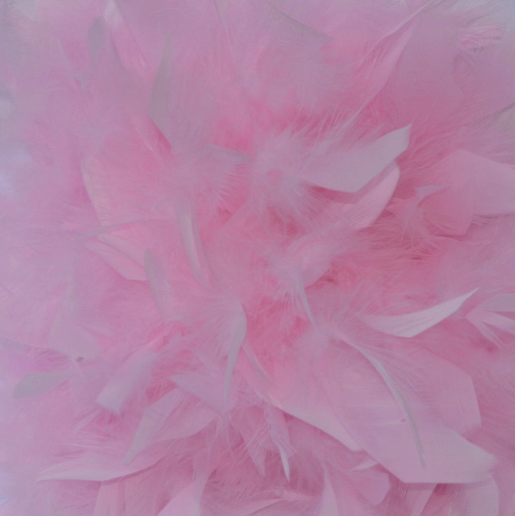 Party Supplies White Filoplume Feathers Boas Turkey Filoplume Feathers Boa  Large Chandelle Marabou Filoplume Feathers Boa Wedding Ceremony Boas White  Pink Orange Yellow Red Green SN4557 From Topsell2019, $2.69